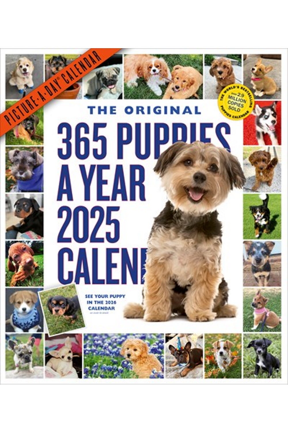 365-puppies-a-year-picture-a-day-wall-calendar-2025-b202-main